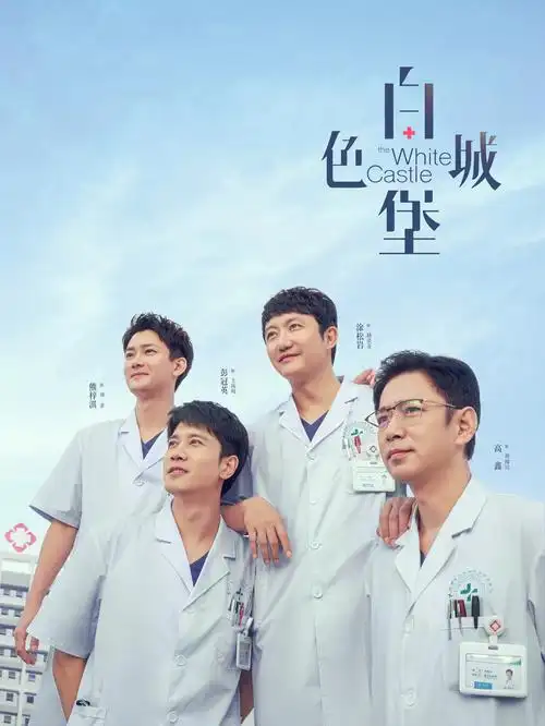青春风暴 电视剧海报